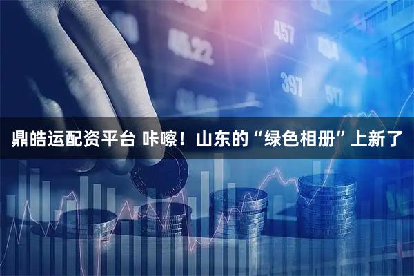 鼎皓运配资平台 咔嚓！山东的“绿色相册”上新了