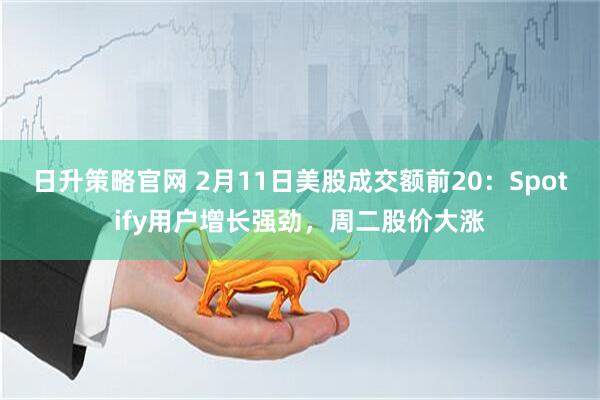 日升策略官网 2月11日美股成交额前20：Spotify用户增长强劲，周二股价大涨